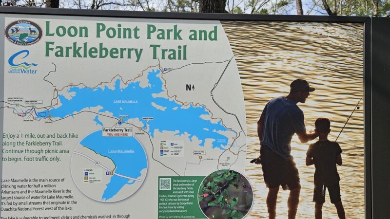 Loon Point Park and Farkleberry Trail - Roland, AR