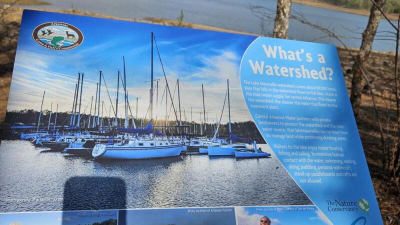 Loon Point Park and Farkleberry Trail - Roland, AR