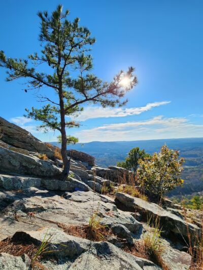 Pinnacle Playground - Roland, AR
