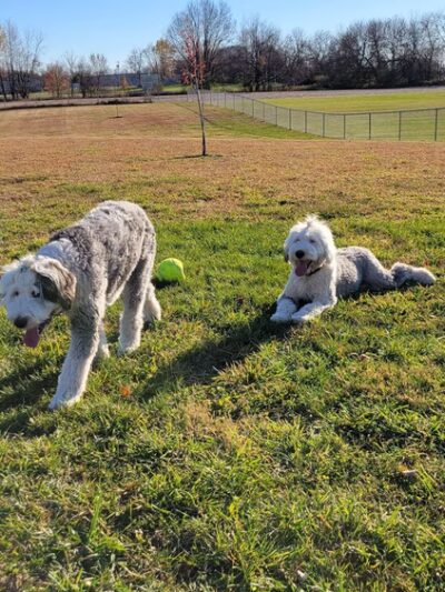 Grant Park - Rome City, IN