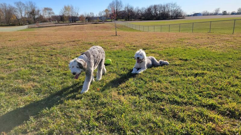 Grant Park - Rome City, IN