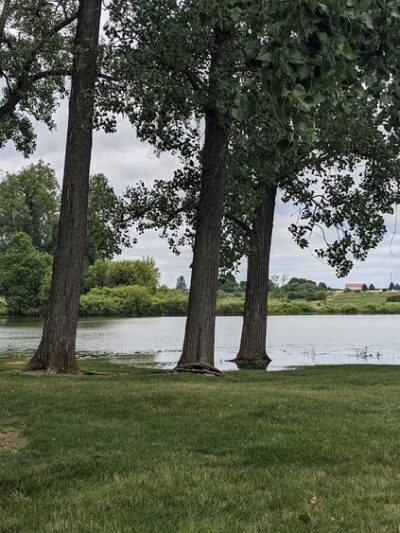 Sycamore Park - Rome City, IN