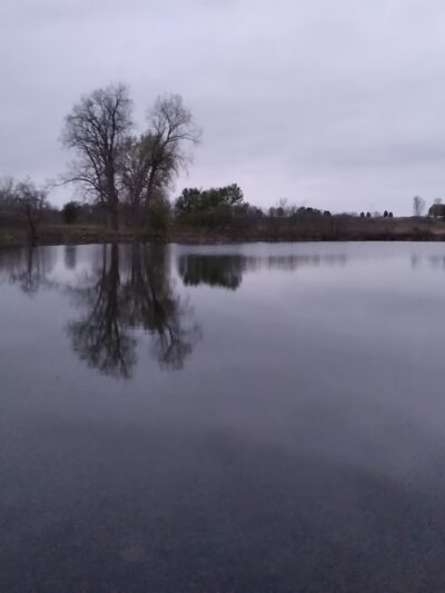 Sycamore Park - Rome City, IN