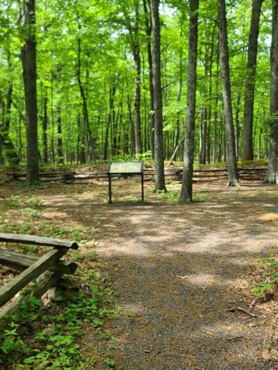Fort Mill Ridge Wildlife Management Area - Romney, WV