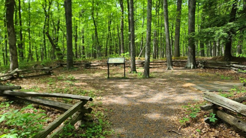 Fort Mill Ridge Wildlife Management Area - Romney, WV