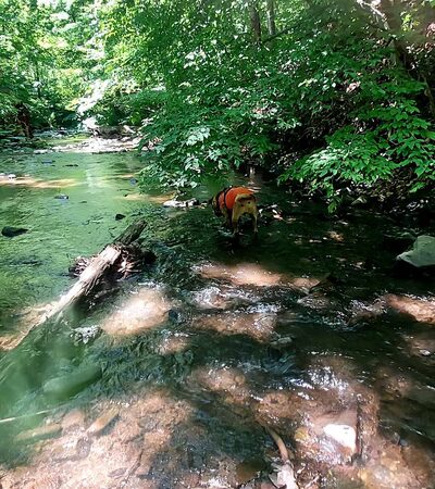 Hampshire Park - Romney, WV