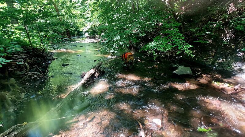 Hampshire Park - Romney, WV