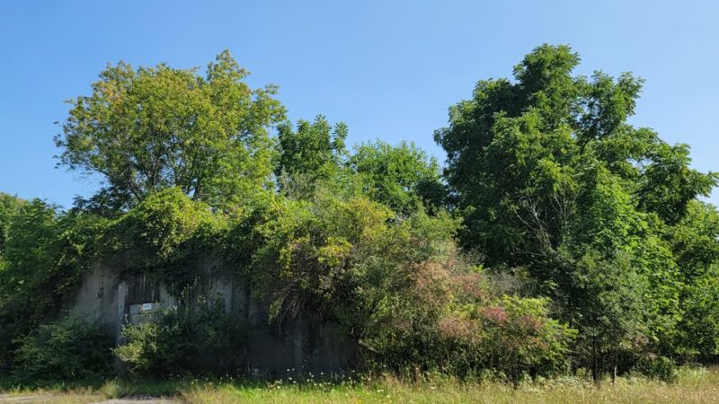 Deer Haven Park, LLC - Romulus, NY