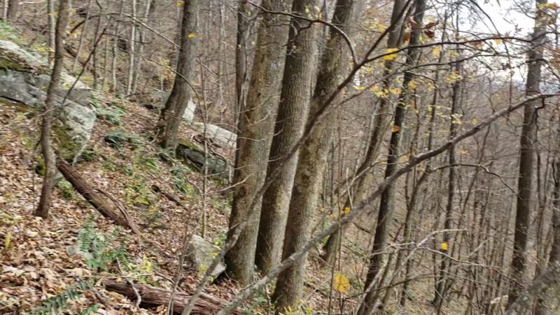 The Channels - Rosedale, VA