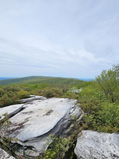 The Channels - Rosedale, VA