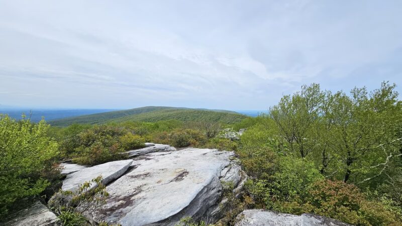 The Channels - Rosedale, VA