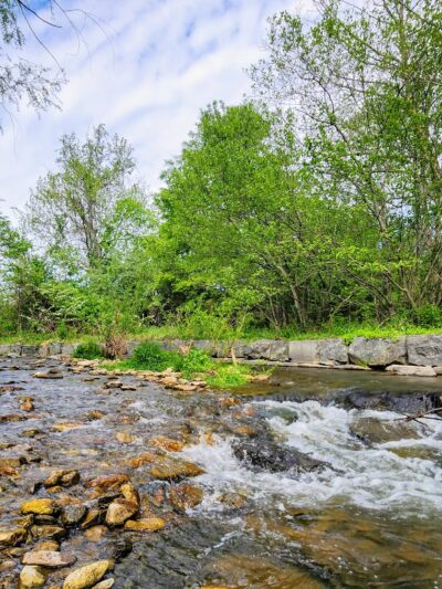Rockfish Valley Trail - Roseland, VA