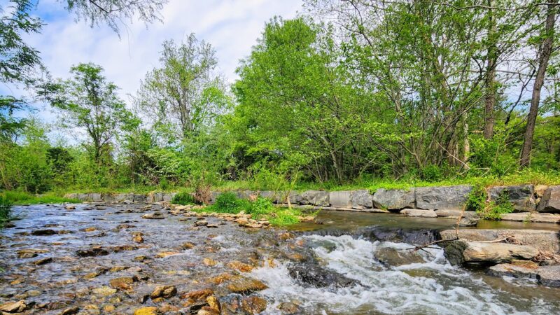 Rockfish Valley Trail - Roseland, VA