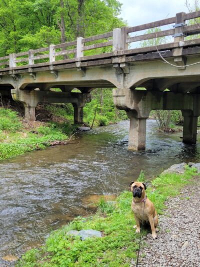 Rockfish Valley Trail - Roseland, VA