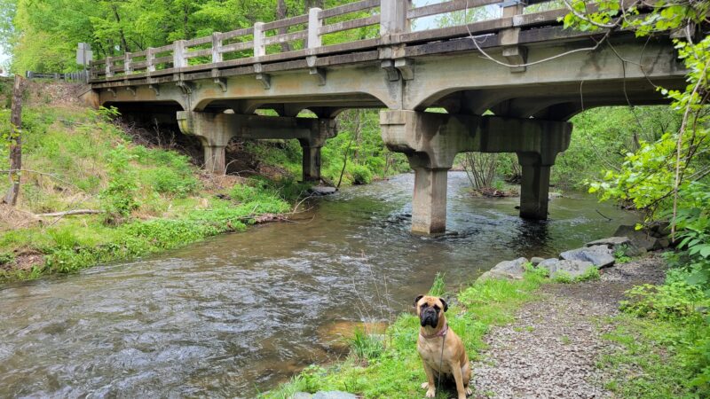 Rockfish Valley Trail - Roseland, VA