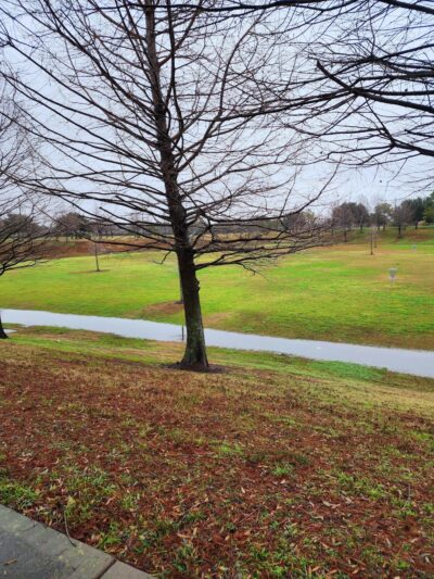 Dog Park - Rosenberg, TX