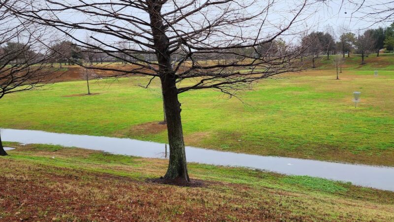 Dog Park - Rosenberg, TX