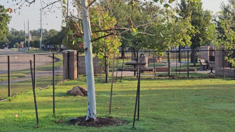 River Park Bark Park - Rosenberg, TX