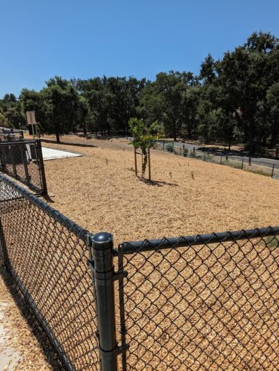 Apollo Dog Park - Roseville, CA