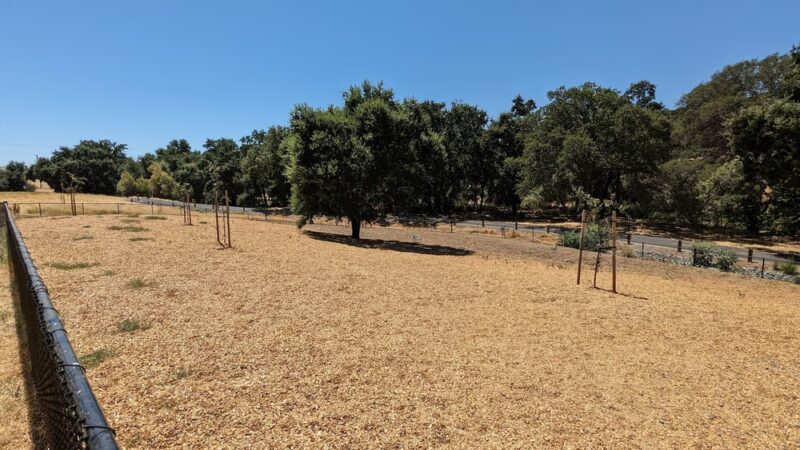Apollo Dog Park - Roseville, CA