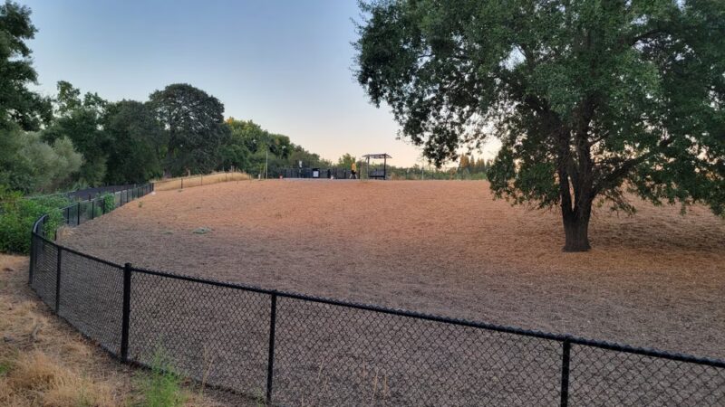 Apollo Dog Park - Roseville, CA