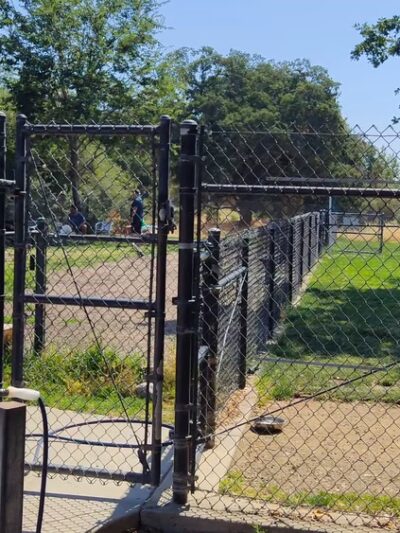 Hughes Park Off Leash Dog Park - Roseville, CA