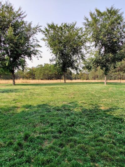 Hughes Park Off Leash Dog Park - Roseville, CA
