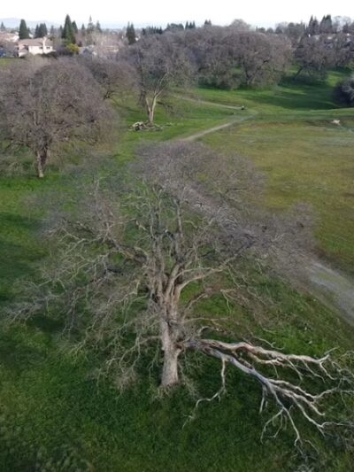 Miner's Ravine Orvietto Drive Entrance - Roseville, CA