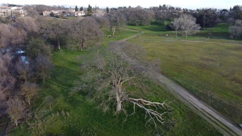 Miner's Ravine Orvietto Drive Entrance - Roseville, CA