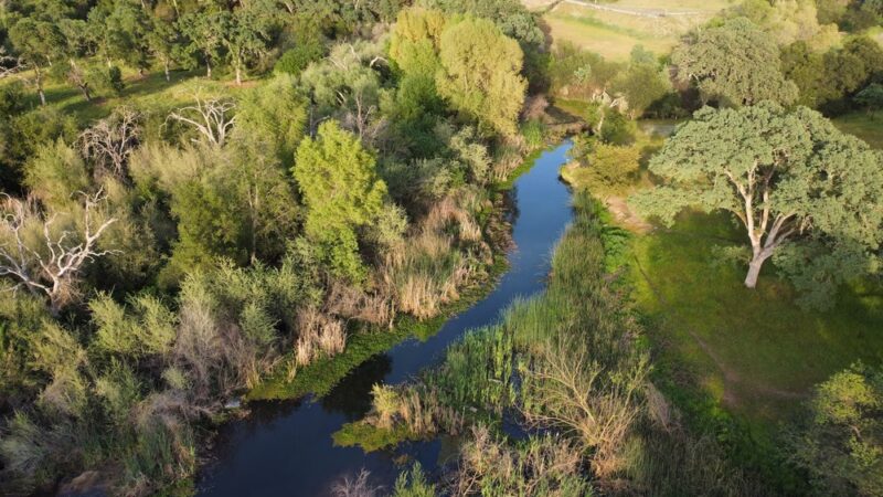 Miner's Ravine Orvietto Drive Entrance - Roseville, CA