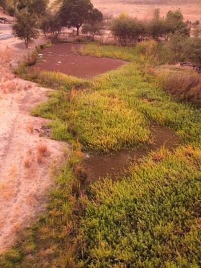 Miner's Ravine Orvietto Drive Entrance - Roseville, CA