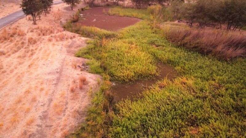 Miner's Ravine Orvietto Drive Entrance - Roseville, CA