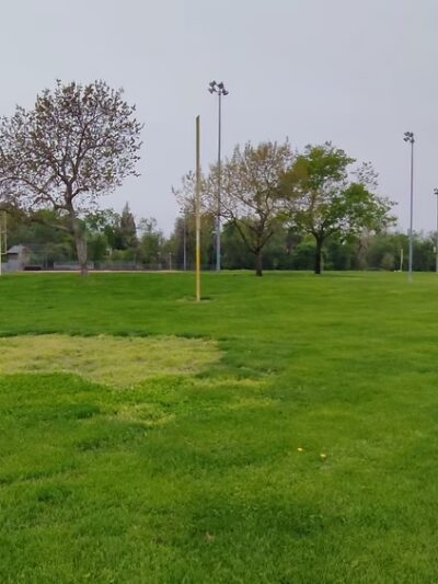 Saugstad Park - Roseville, CA