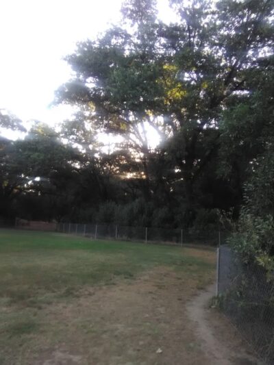 Saugstad Park - Roseville, CA