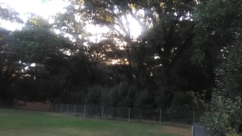 Saugstad Park - Roseville, CA