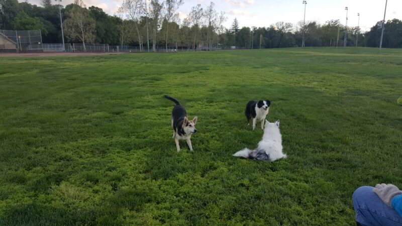 Saugstad Park - Roseville, CA