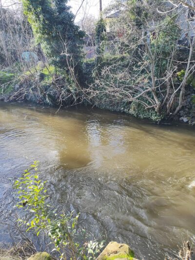 Saugstad/Royer Park Trail - Roseville, CA