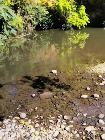 Saugstad/Royer Park Trail - Roseville, CA