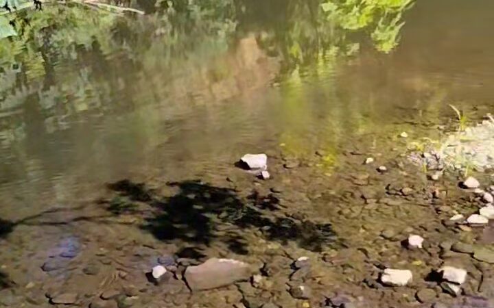 Saugstad/Royer Park Trail - Roseville, CA