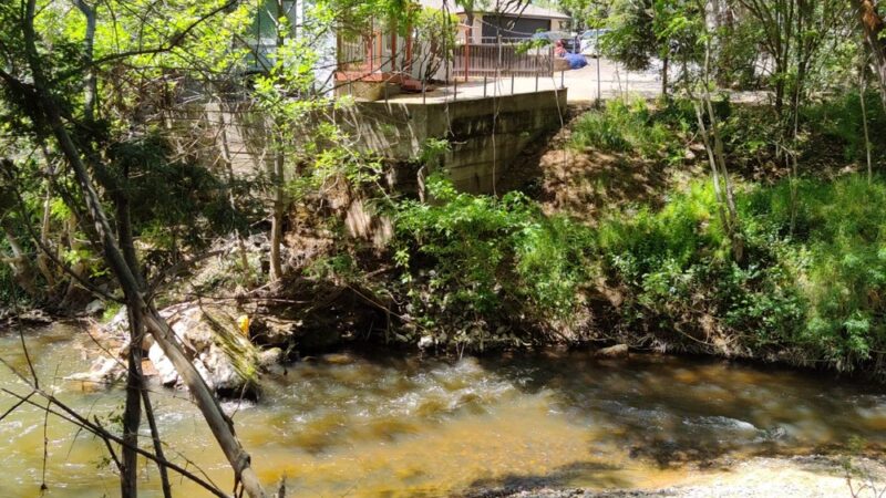 Saugstad/Royer Park Trail - Roseville, CA