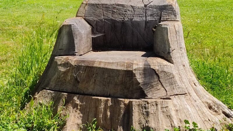 Saugstad/Royer Park Trail - Roseville, CA