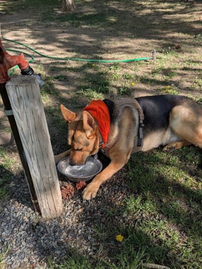 Centennial Park - Roslyn, WA