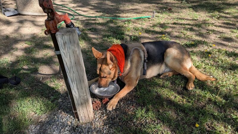 Centennial Park - Roslyn, WA