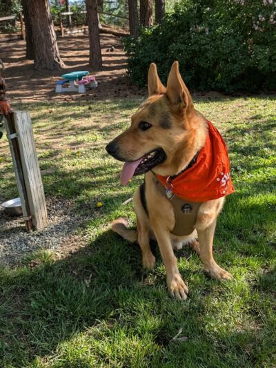 Centennial Park - Roslyn, WA