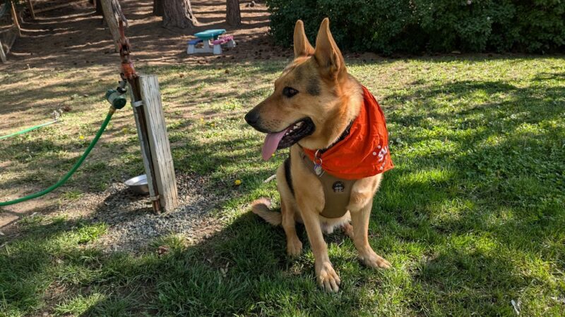 Centennial Park - Roslyn, WA