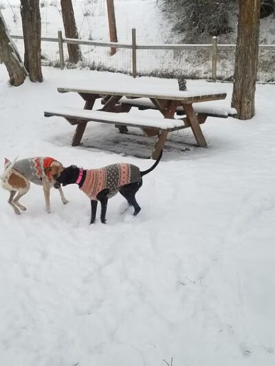 Centennial Park - Roslyn, WA