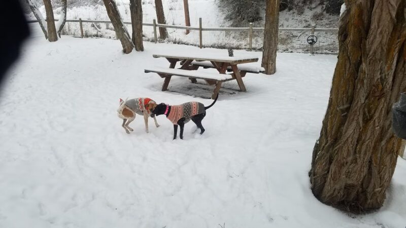 Centennial Park - Roslyn, WA