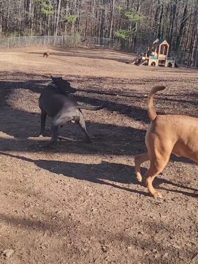 Leita Thompson Memorial Park - Roswell, GA