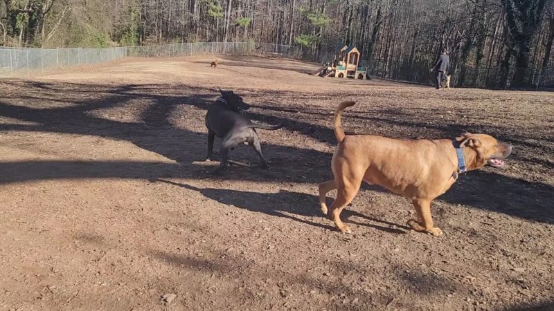 Leita Thompson Memorial Park - Roswell, GA