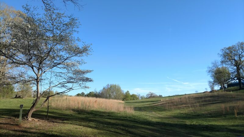 Leita Thompson Memorial Park - Roswell, GA